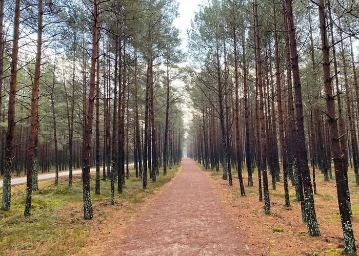 Authentic In With Fireplace *